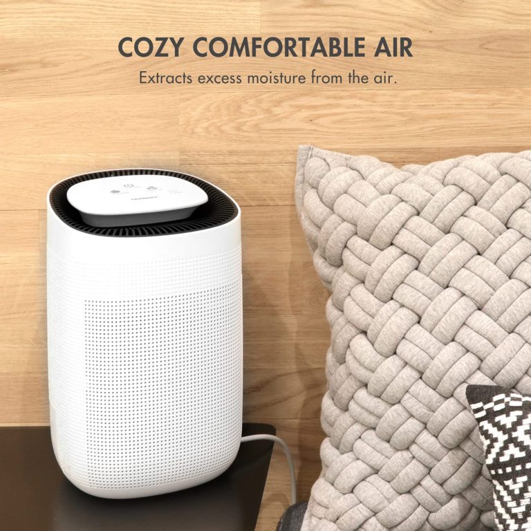 Best Dehumidifier And Air Purifier Combo Review 2023