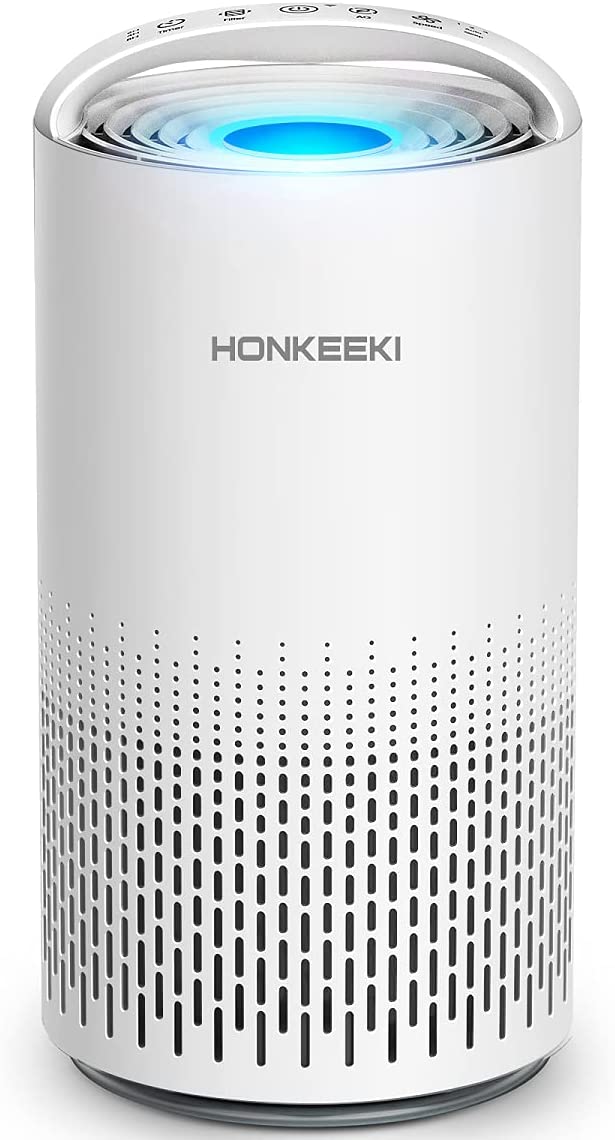 Hokeki Air Purifier Review