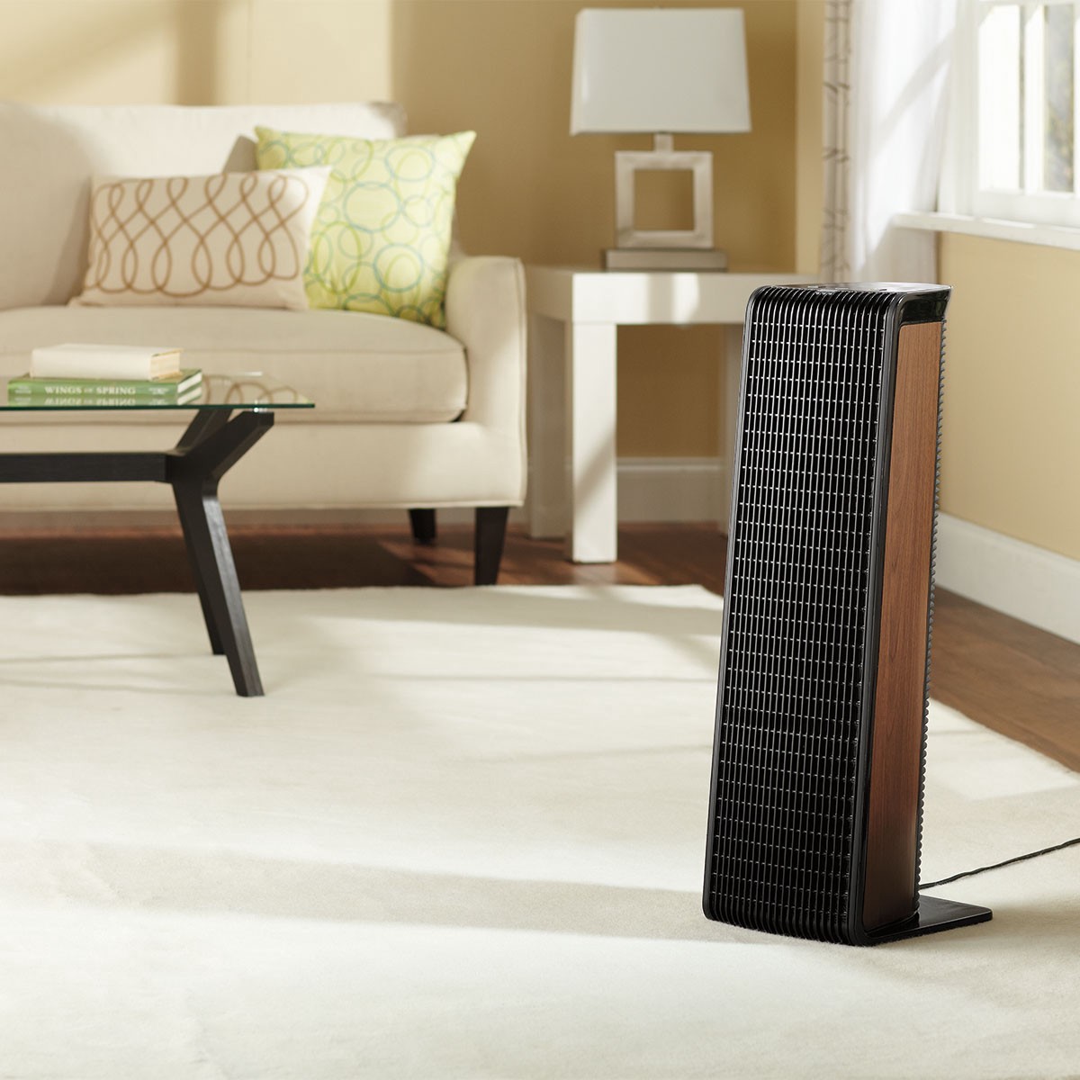 How To Clean Holmes Air Purifier 5+ Best